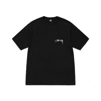 Stussy Arachnid Sort Pigment T-Shirt