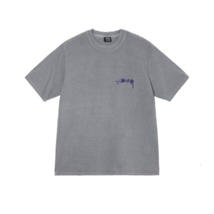 Stussy Arachnid Grå Pigment T-Shirt