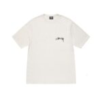 Stussy Arachnid Hvidt Pigment T-Shirt